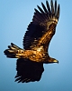 20140315-005