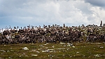 20140901-0006