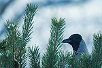 20170106-0006