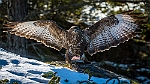 20180318-0017
