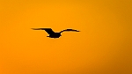20190405-0004