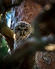 20190615-0016