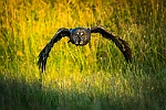 20190718-0068