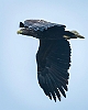 20201024-0010