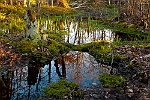 20110508 149-Redigera