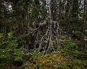 20130918-0009