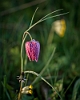 20140518-0009-2