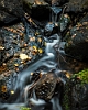 20161008-0011