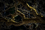 20170505-0011