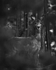 20150605-0002