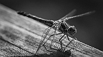 20150821-0049