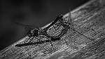 20150823-0007