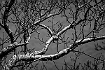 20161211-0002