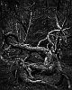 20190531-0019